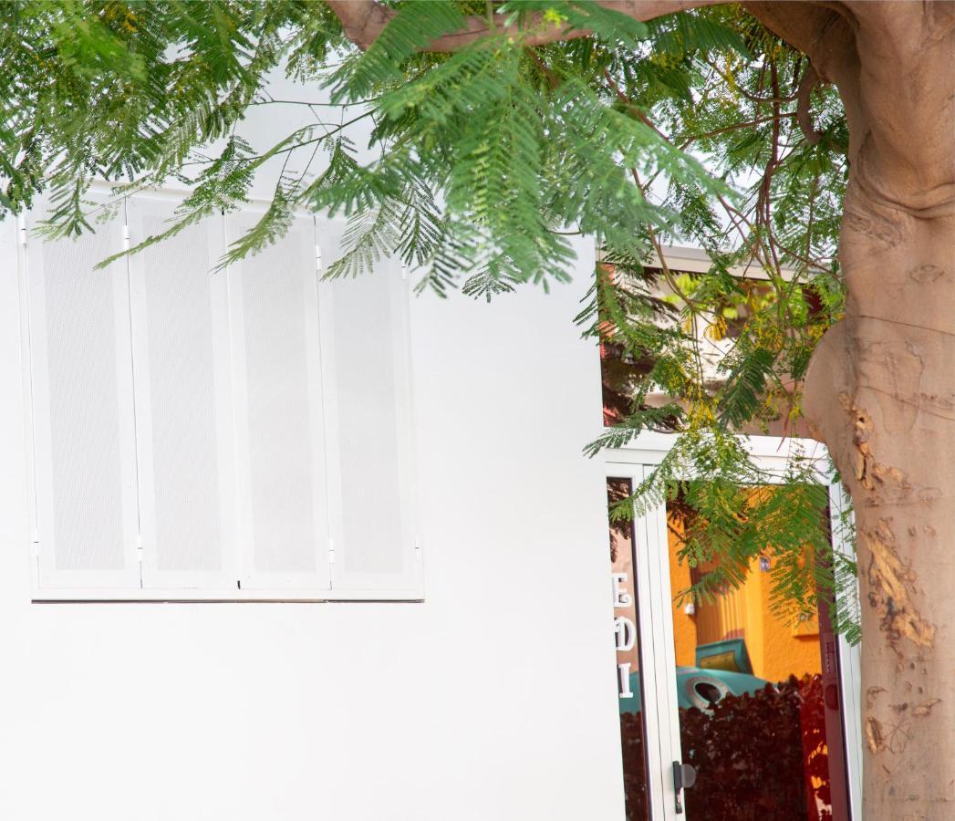 Edi Astoria Apartment Santa Cruz de Tenerife Exterior photo